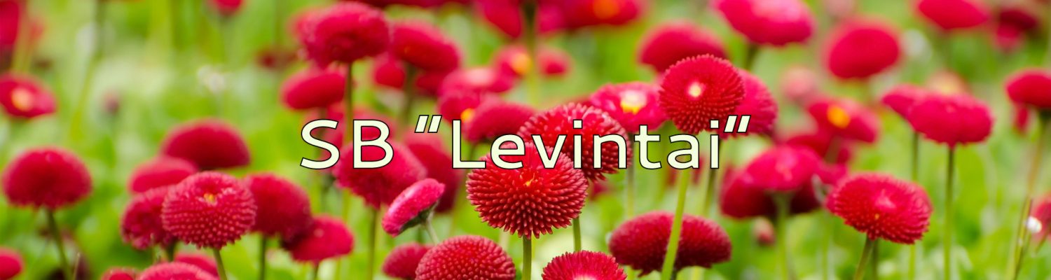 SB „Levintai“